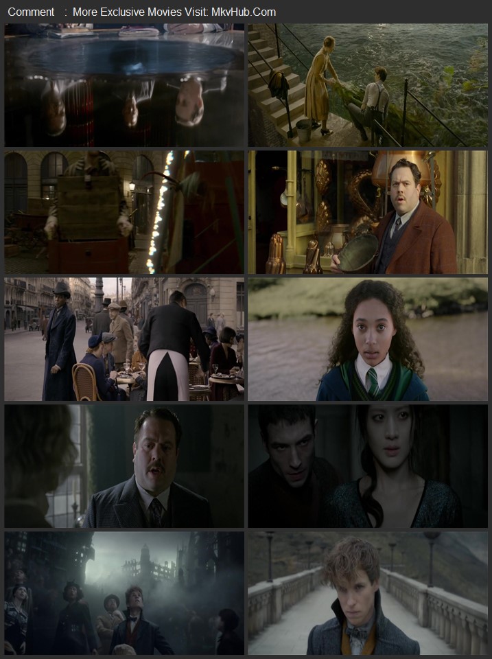 Fantastic Beasts: The Crimes of Grindelwald 2018 Dual Audio [Hindi-English] ORG 5.1 480p 720p 1080p BluRay x264 ESubs Download