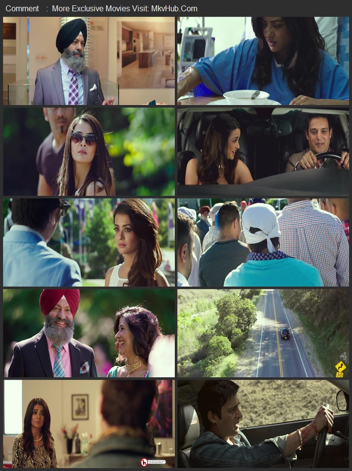 Hero Naam Yaad Rakhi 2015 Punjabi [ORG 5.1] 480p 720p 1080p WEB-DL x264 ESubs Download