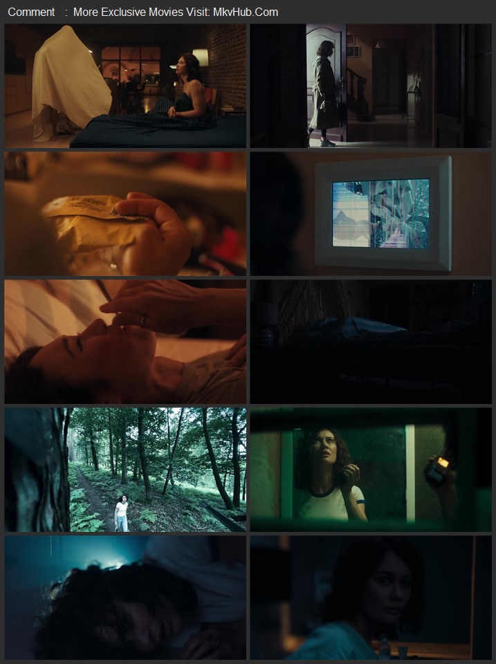 Other 2025 Dual Audio [Hindi-English] ORG 2.0 480p 720p 1080p BluRay x264 ESubs Download
