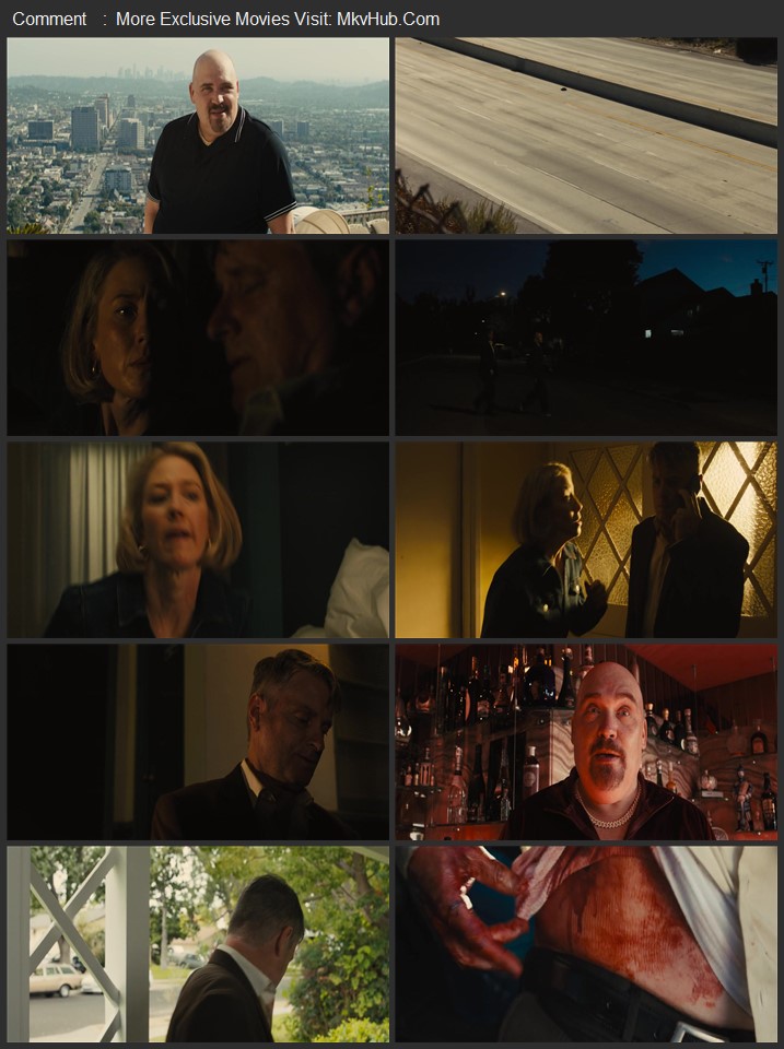 Lake George 2025 Dual Audio [Hindi-English] ORG 5.1 480p 720p 1080p WEB-DL x264 ESubs Download