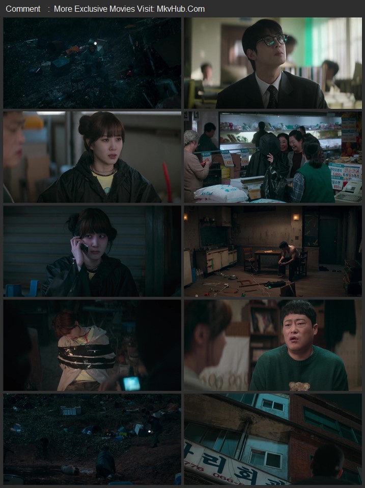 The Wonderfools 2026 S01 Complete Dual Audio [Hindi-English] ORG 5.1 480p 720p 1080p WEB-DL x264 Multi Subs