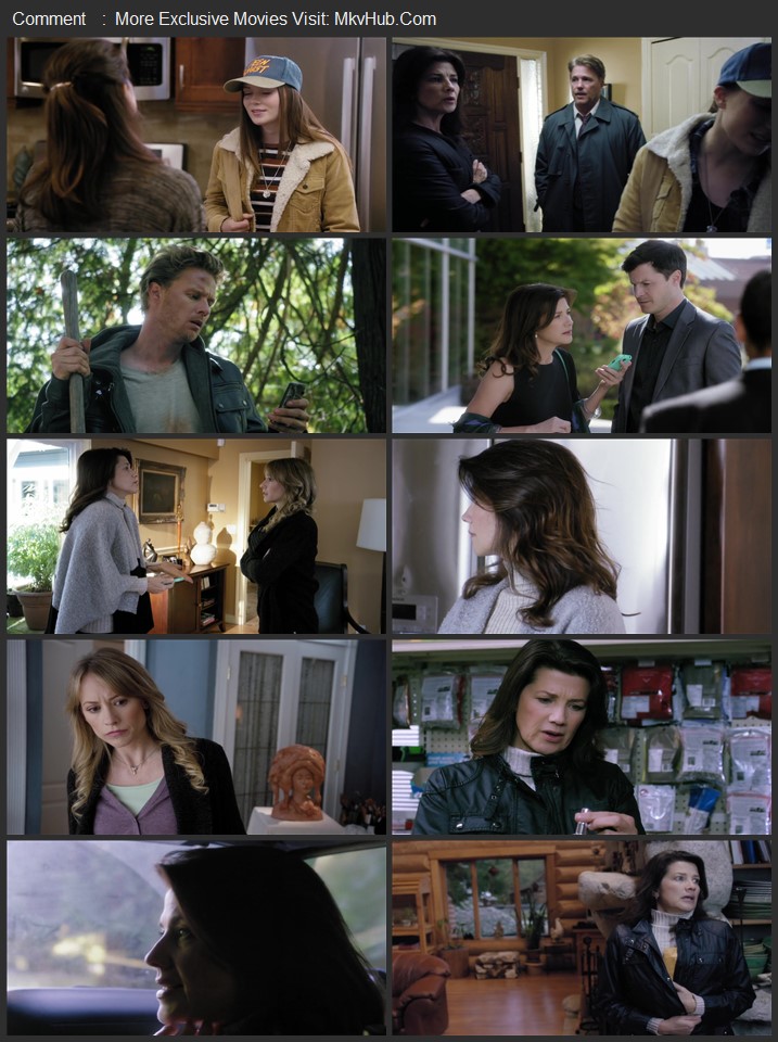 The Wrong Babysitter 2017 Dual Audio [Hindi-English] ORG 2.0 480p 720p WEB-DL x264 ESubs Download