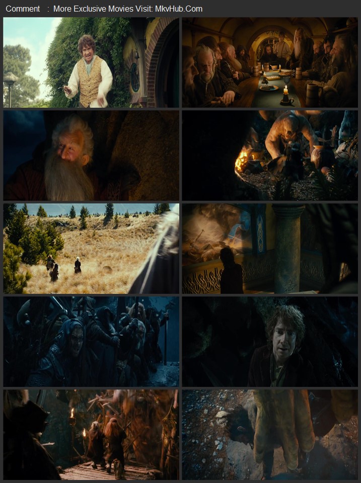 The Hobbit: An Unexpected Journey 2012 Dual Audio [Hindi-English] ORG 5.1 480p 720p 1080p BluRay x264 ESubs Download