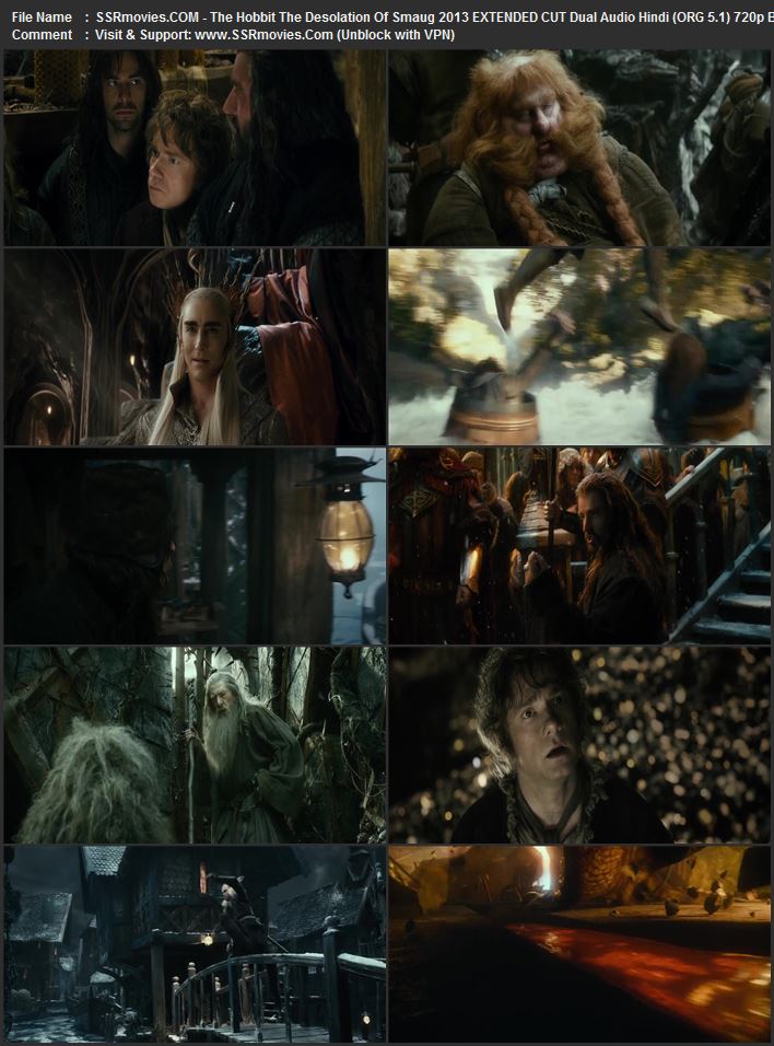 The Hobbit: The Desolation of Smaug 2013 Dual Audio Hindi (ORG 5.1) 1080p 720p 480p BluRay x264 ESubs The Hobbit: The Desolation of Smaug 2013 Dual Audio Hindi (ORG 5.1) 1080p 720p 480p BluRay x264 ESubs
