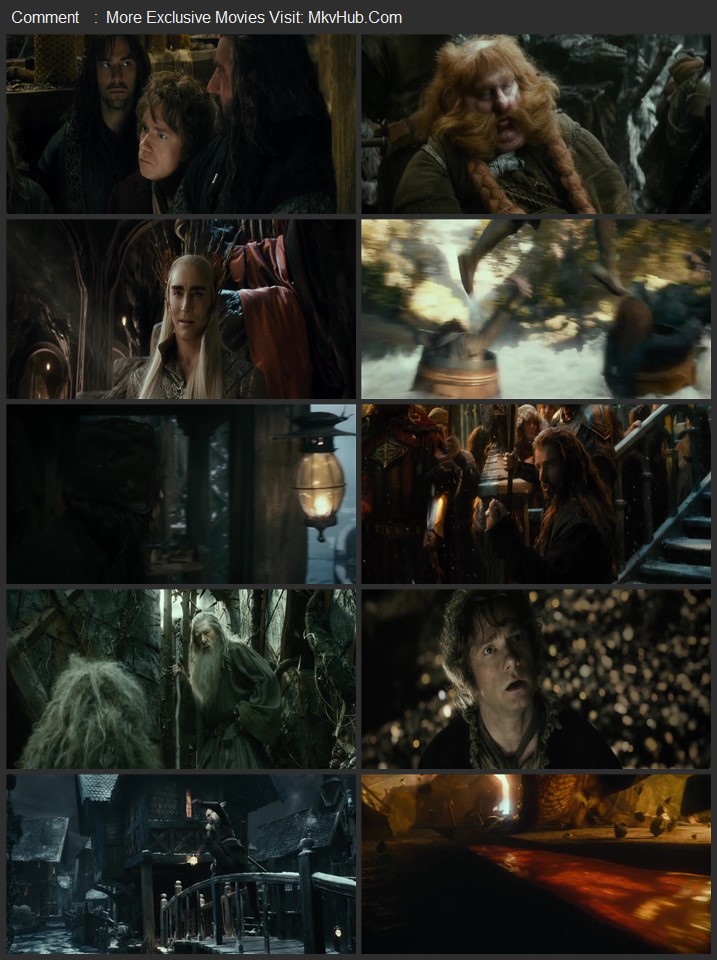 The Hobbit: The Desolation of Smaug 2013 Dual Audio [Hindi-English] ORG 5.1 480p 720p 1080p BluRay x264 ESubs Download