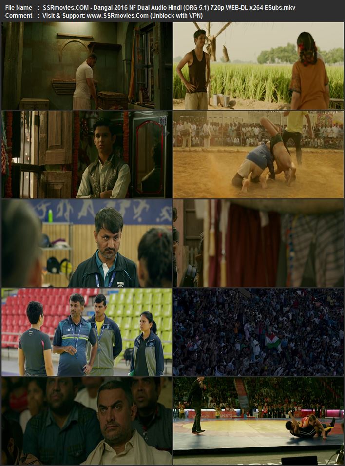 Dangal 2016 Hindi, English 1080p 720p 480p WEB-DL x264 ESubs