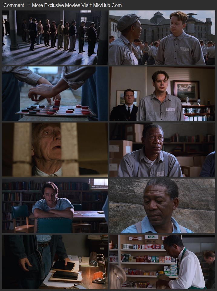 The Shawshank Redemption 1994 Dual Audio [Hindi-English] ORG 2.0 480p 720p 1080p BluRay x264 ESubs Download