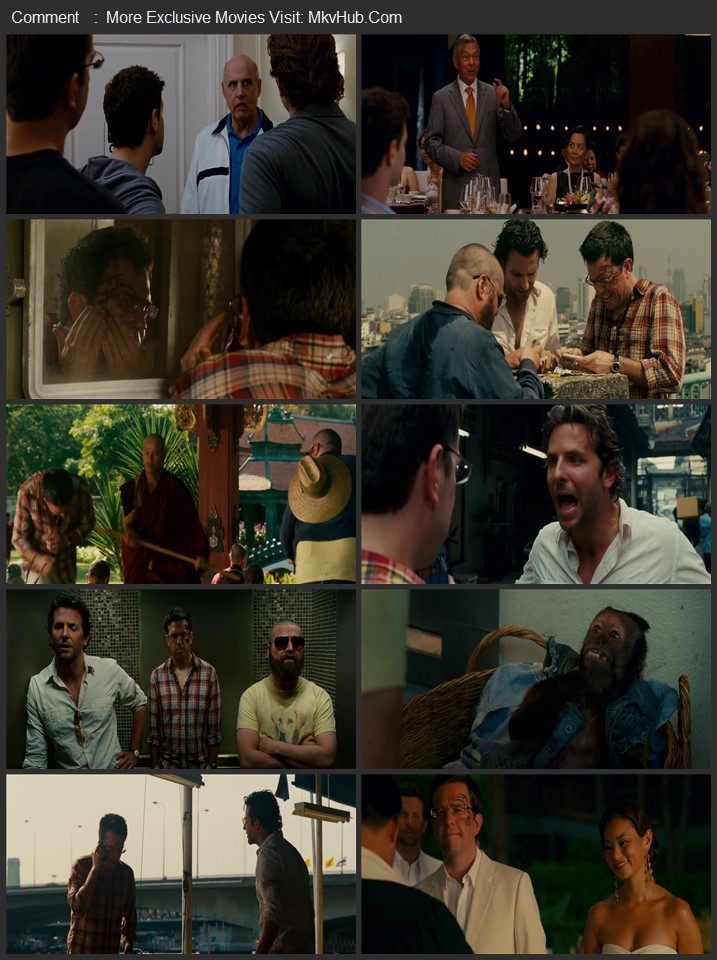 The Hangover Part II 2011 Dual Audio [Hindi-English] ORG 2.0 480p 720p 1080p WEB-DL x264 ESubs Download