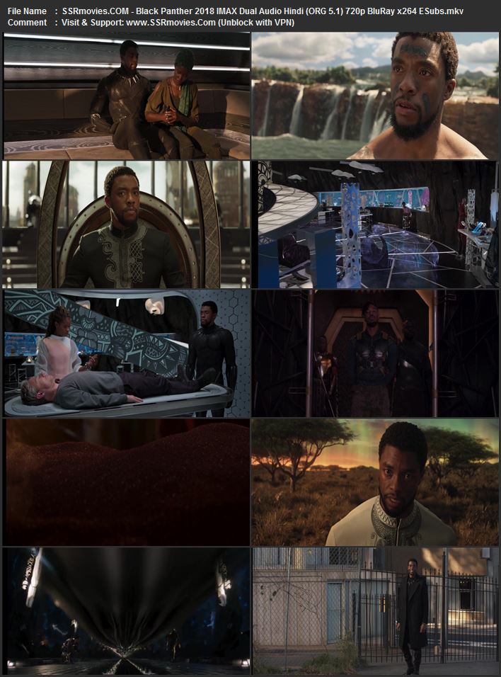 Black Panther 2018 Dual Audio Hindi (ORG 5.1) 1080p 720p 480p BluRay x264 ESubs