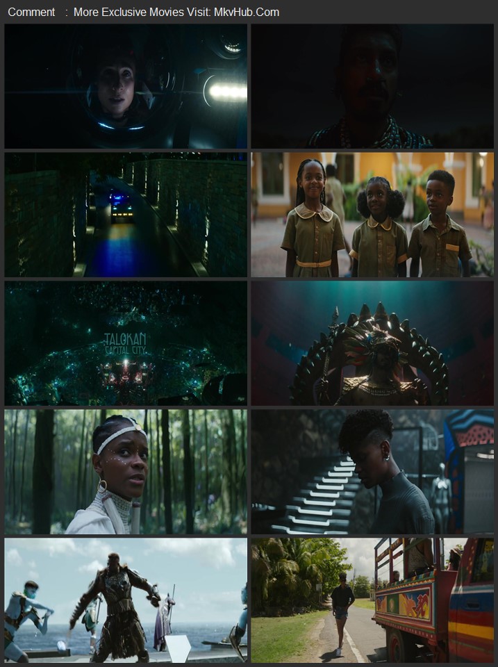 Black Panther: Wakanda Forever 2022 Dual Audio [Hindi-English] ORG 5.1 480p 720p 1080p BluRay x264 ESubs Download