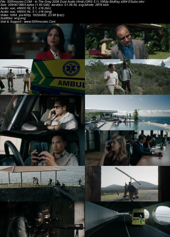 In the Grey 2026 Dual Audio Hindi (ORG 5.1) 4K 1080p 720p 480p BluRay x264 ESubs