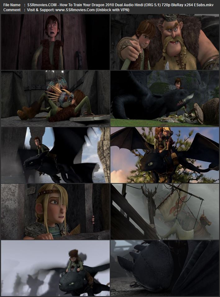 How to Train Your Dragon 2010 Dual Audio Hindi (ORG 5.1) 1080p 720p 480p BluRay x264 ESubs