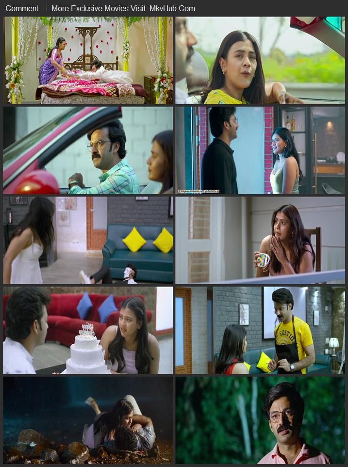 Honeymoon Express 2024 Dual Audio [Hindi-Telugu] ORG 2.0 480p 720p 1080p WEB-DL x264 ESubs Download
