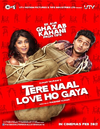 Tere Naal Love Ho Gaya 2012 Hindi 1080p 720p 480p WEB-DL x264 ESubs