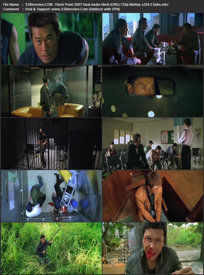Flash Point 2007 Dual Audio Hindi (ORG) 720p 480p BluRay x264 ESubs