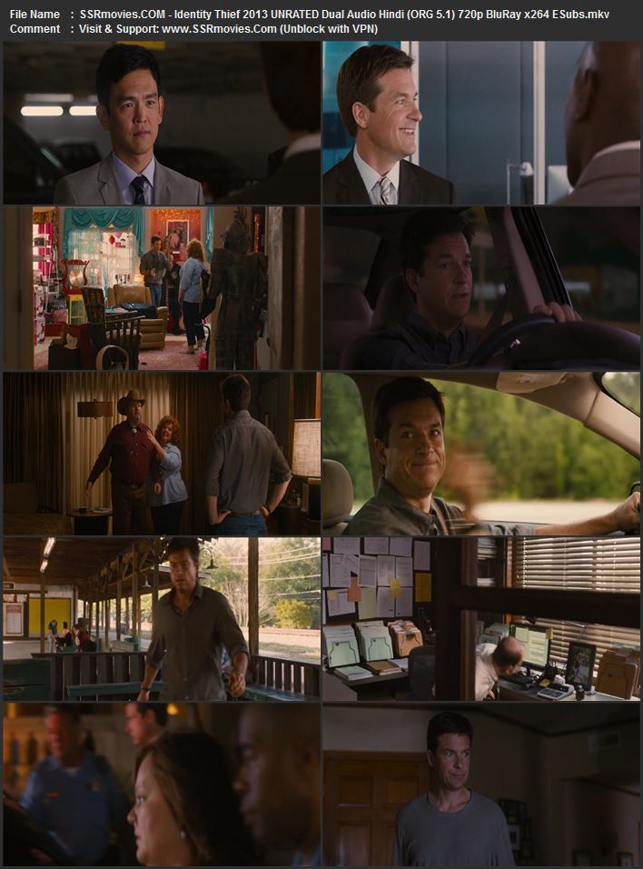Identity Thief 2013 Dual Audio Hindi (ORG 5.1) 1080p 720p 480p BluRay x264 ESubs
