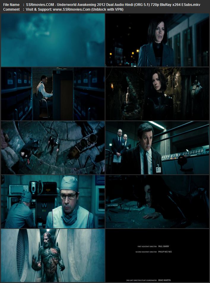 Underworld: Awakening 2012 Dual Audio Hindi (ORG 5.1) 1080p 720p 480p BluRay x264 ESubs